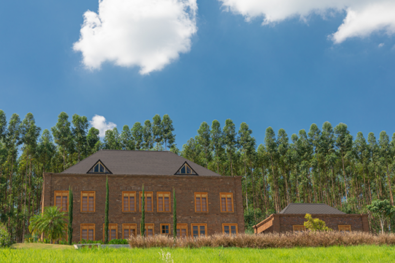 Decoração com madeira: veja dicas para aplicar na sua casa de campo