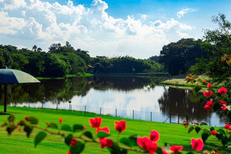 Mudar da cidade para o interior: quais são as vantagens?