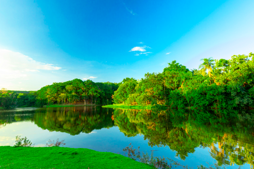 Mudar para o interior sem perder a comodidade é possível - veja